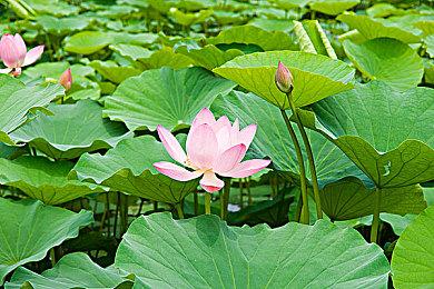 新内容新特惠！ “再访辛特堡”新模式上线！